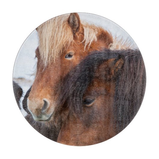 アイスランドの冬のアイスランド馬 カッティングボード (正面)