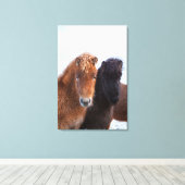アイスランドの冬のアイスランド馬 キャンバスプリント (インサイチュ (ウッドフロア))