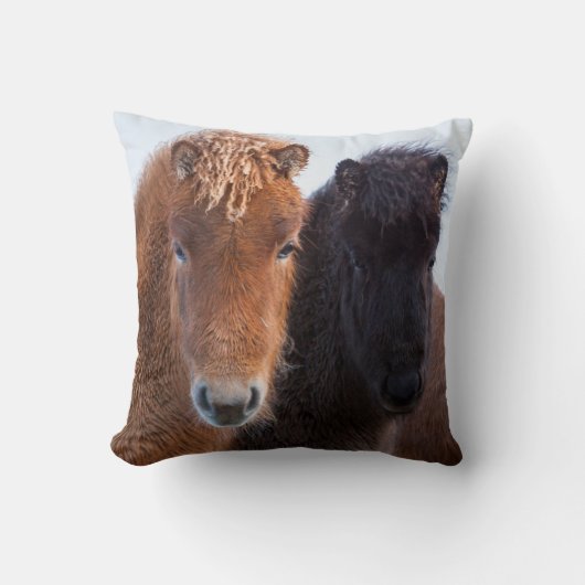 アイスランドの冬のアイスランド馬 クッション (正面)