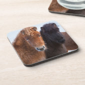 アイスランドの冬のアイスランド馬 コースター (左側)