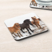 アイスランドの冬のアイスランド馬 コースター (左側)