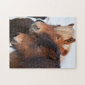 アイスランドの冬のアイスランド馬 ジグソーパズル (横)