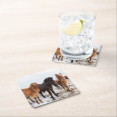 アイスランドの冬のアイスランド馬 スクエアペーパーコースター (インサイチュ)