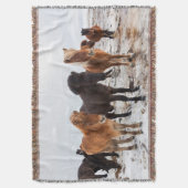 アイスランドの冬のアイスランド馬 スローブランケット (正面縦)