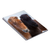 アイスランドの冬のアイスランド馬 ノートブック (右側)