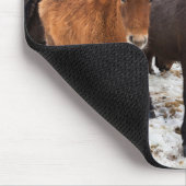 アイスランドの冬のアイスランド馬 マウスパッド (コーナー)