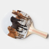 アイスランドの冬の間のアイスランドの馬 卓球ラケット (横)