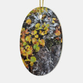 アイスランドの地被植物のオーナメント セラミックオーナメント (左)