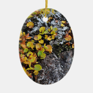 アイスランドの地被植物のオーナメント セラミックオーナメント