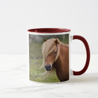 アイスランドの子馬 マグカップ