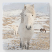 アイスランドの白いアイスランドホース ストーンコースター (正面)