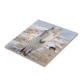 アイスランドの白いアイスランドホース タイル (側面)