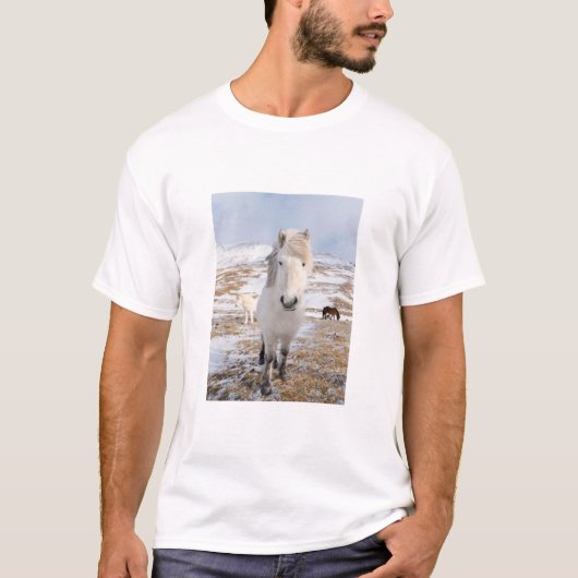 アイスランドの白馬 Tシャツ (正面)