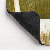 アイスランドの白鳥とシグネットのペア。 マウスパッド (コーナー)