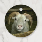 アイスランドの羊 –  フェイバータグ (裏面)