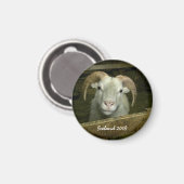 アイスランドの羊 マグネット (正面/裏面)