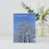 アイスランドの風景 ポストカード (スタンド正面)