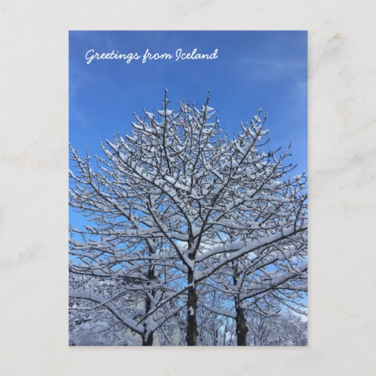 アイスランドの風景 ポストカード (正面)