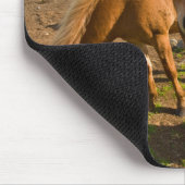 アイスランドの馬が放牧 マウスパッド (コーナー)