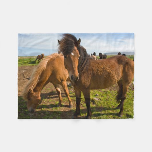 アイスランドの馬が草を食べる フリースブランケット (正面(横))