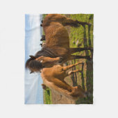 アイスランドの馬が草を食べる フリースブランケット (正面)