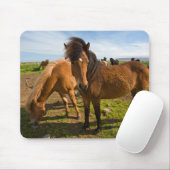 アイスランドの馬が草を食べる マウスパッド (マウス)