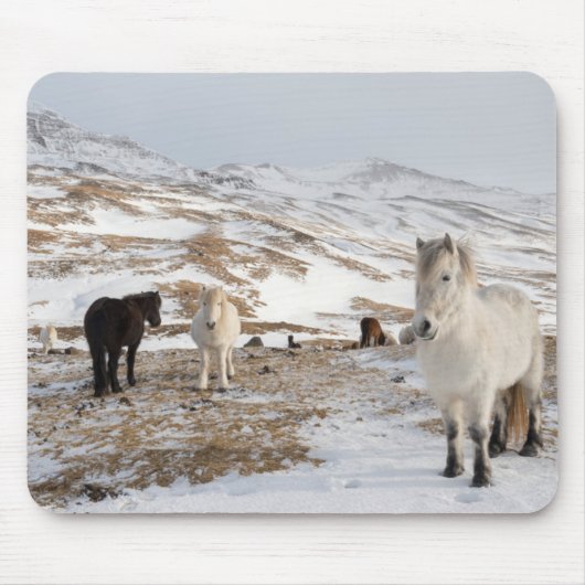 アイスランドの馬のある風景 マウスパッド (正面)