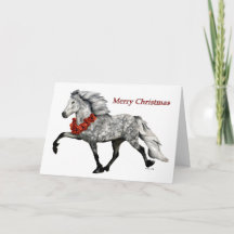 アイスランドの馬のクリスマス