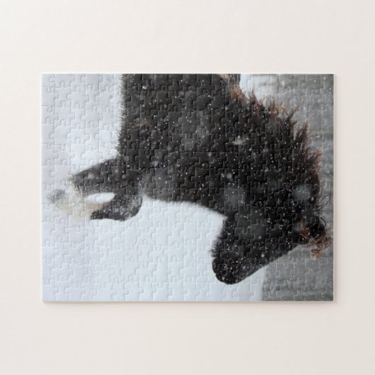 アイスランドの馬のシルエットのパズル ジグソーパズル (横)