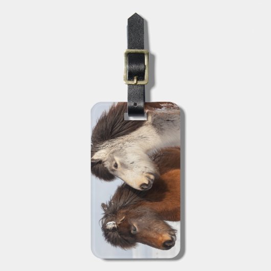 アイスランドの馬のプロフィール、アイスランド ラゲッジタグ (正面縦)