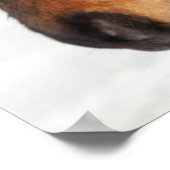 アイスランドの馬のプロフィール ポスター (角)