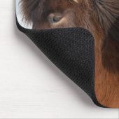 アイスランドの馬のプロフィール マウスパッド (コーナー)