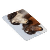 アイスランドの馬のプロフィール マグネット (右側)