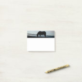 アイスランドの馬のポスト・イット ポストイット (デスク上)