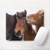 アイスランドの馬の友人 マウスパッド (マウス)
