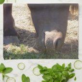 アイスランドの馬の台所タオル キッチンタオル (折り畳み)