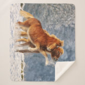 アイスランドの馬の子馬が雪で遊ぶ面白い写真 シェルパブランケット (正面)