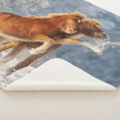 アイスランドの馬の子馬が雪で遊ぶ面白い写真 シェルパブランケット (3/4)