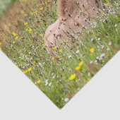 アイスランドの馬の子馬のティッシュペーパー 薄葉紙 (詳細)