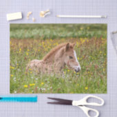 アイスランドの馬の子馬のティッシュペーパー 薄葉紙 (クラフト)