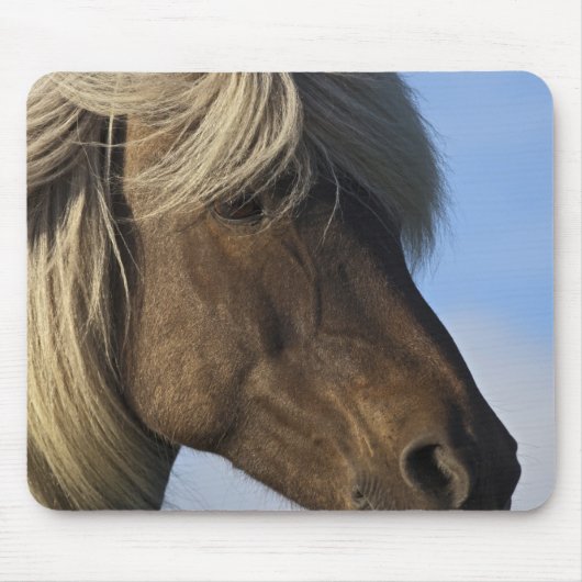 アイスランドの馬の頭、アイスランド マウスパッド (正面)