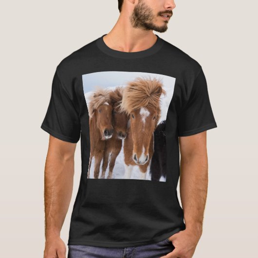 アイスランドの馬の鼻面, アイスランド Tシャツ (正面)