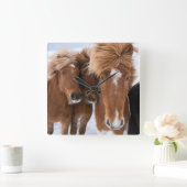 アイスランドの馬は、アイスランド寄り添います スクエア壁時計 (ホーム)