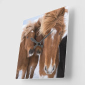 アイスランドの馬は、アイスランド寄り添います スクエア壁時計 (傾斜)