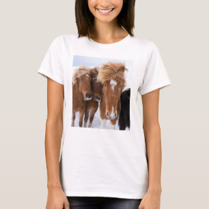 アイスランドの馬は、アイスランド寄り添います Tシャツ