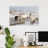 アイスランドの馬を使った風景 ポスター (ホームオフィス)