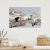 アイスランドの馬を使った風景 ポスター (キッチン)