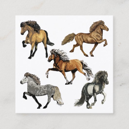 アイスランドの馬歩き スクエア名刺 (正面)