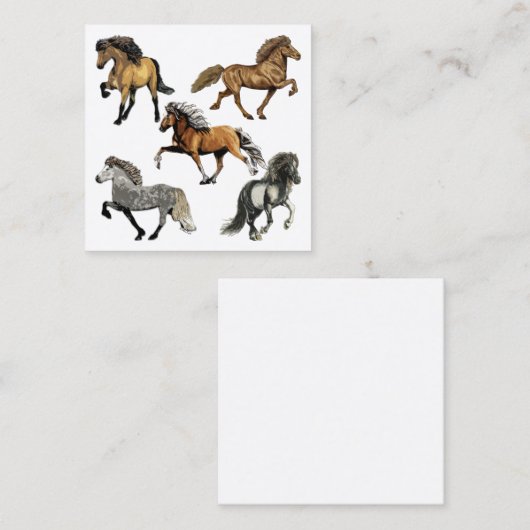 アイスランドの馬歩き スクエア名刺 (正面/裏面)