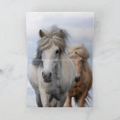 アイスランドの馬2枚飛馬の挨拶状 カード (内部)